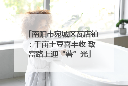 南阳市宛城区瓦店镇：千亩土豆喜丰收 致富路上迎“薯”光
